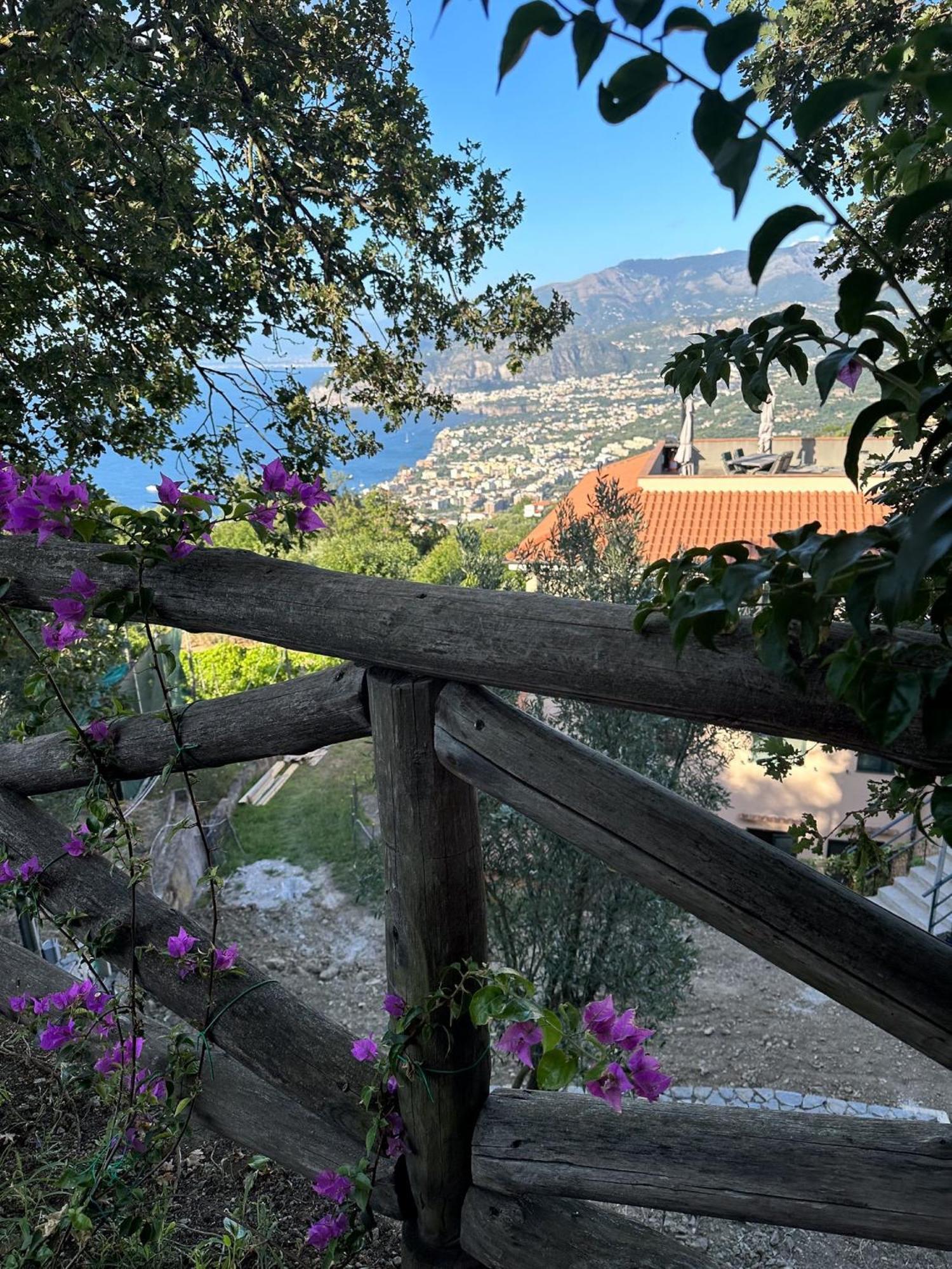 - Savoia Villa Península Sorrentina